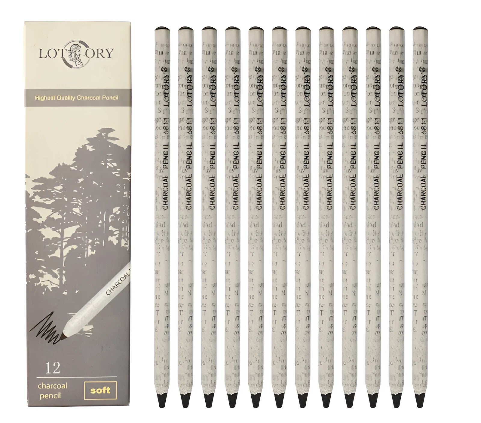 Boxed set of children's art sketching charcoal pencils and drawing sticks with grades from 2H to EE hardness