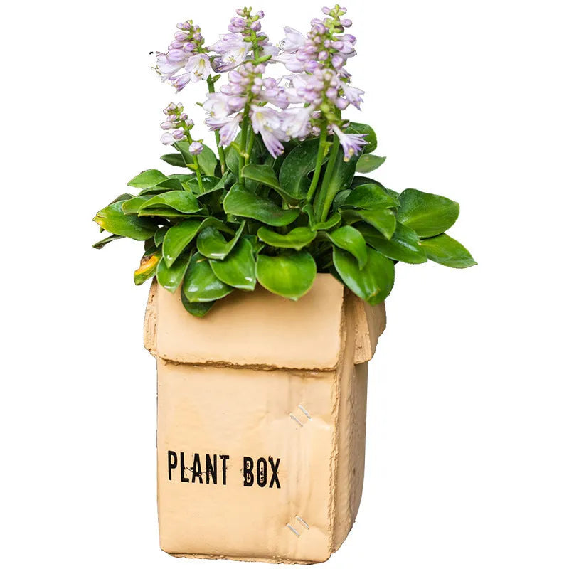 Cement flowerpot with perforated base and Nordic brown paper box design