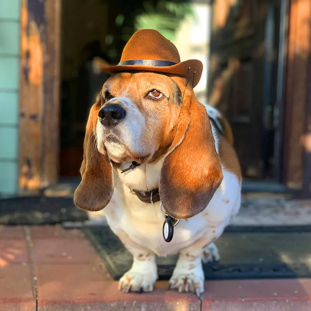 Adjustable dog wearing brown cowboy hat with rounded brim for pet photography