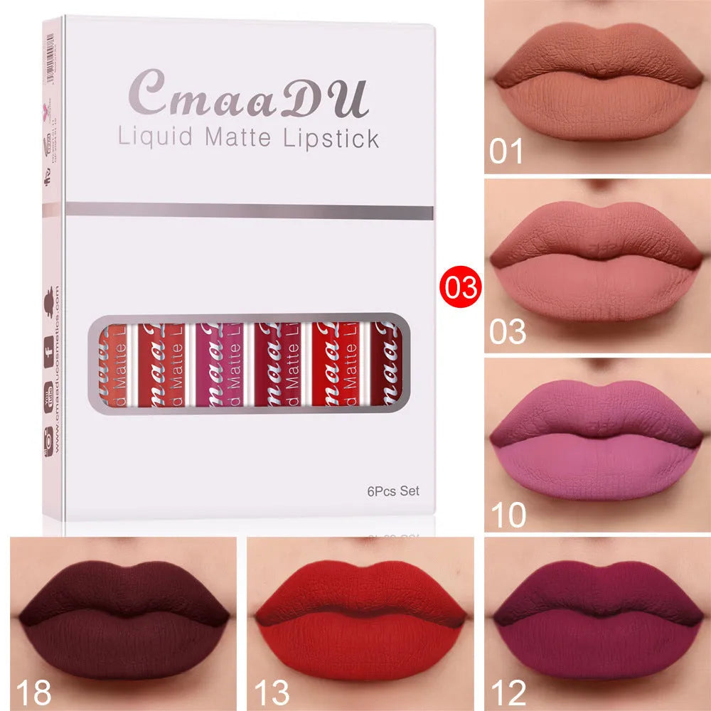 Box containing six tubes of matte finish, waterproof lip gloss in assorted styles.