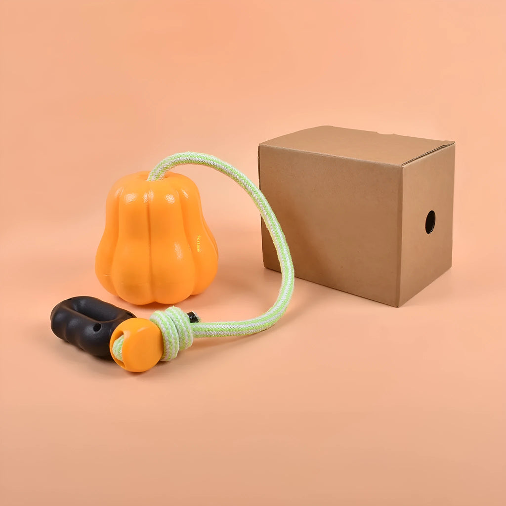 Bite Molar durable plastic dog toy in single pumpkin colour with an attached rope for fetching.