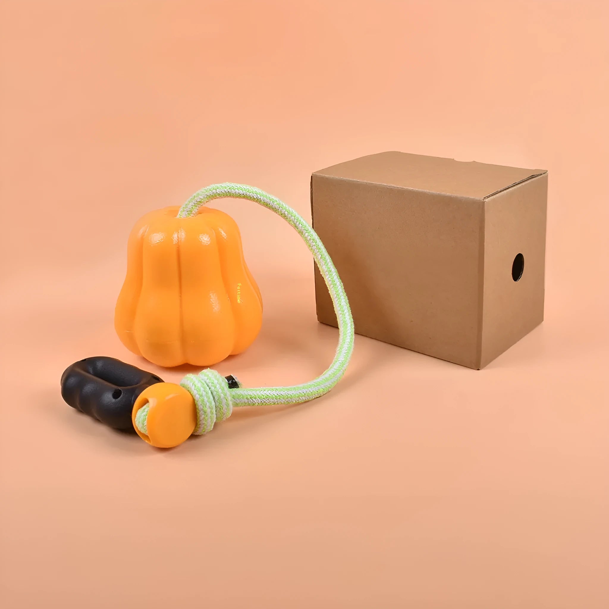 Bite Molar durable plastic dog toy in single pumpkin colour with an attached rope for fetching.