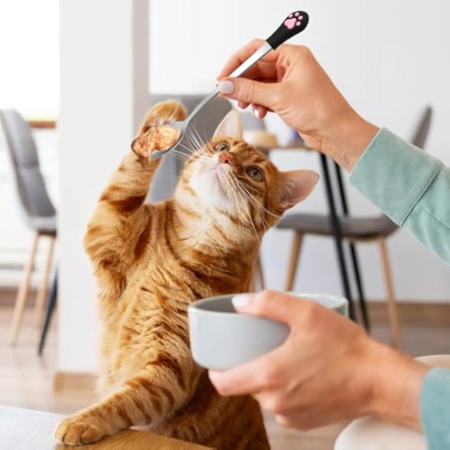 White and black pet food spoons with cat paw designs and silicone handles
