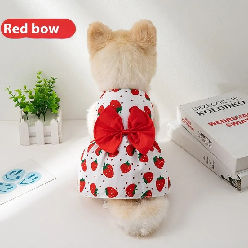 A dog or cat wearing a thin orange princess dress with a large floral butterfly knot bow.