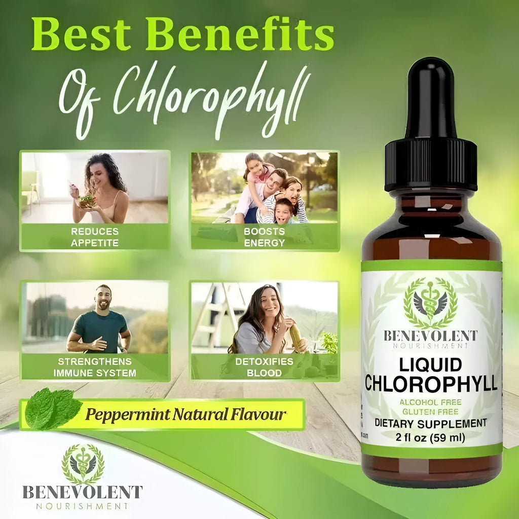 60ml bottle of natural spearmint flavoured liquid chlorophyll drops with dropper for adult supplementation