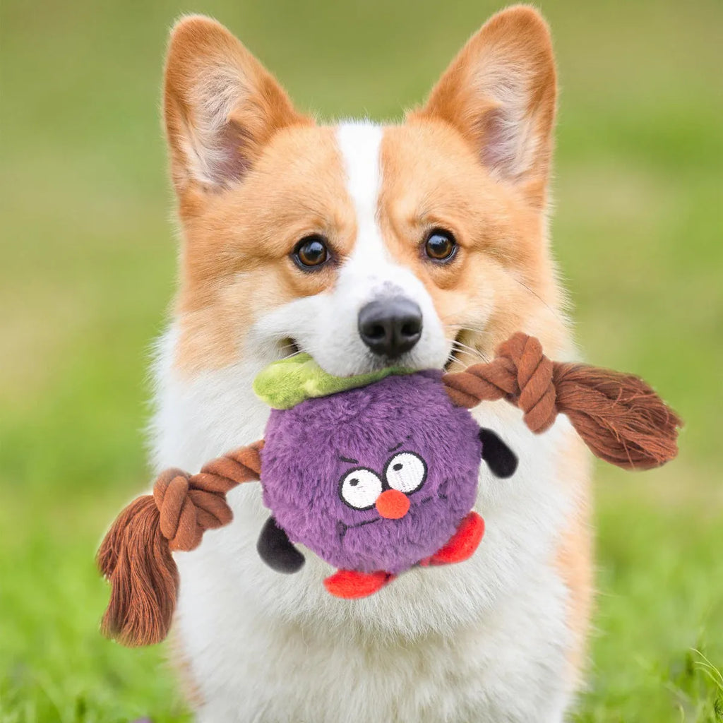 Green and purple interactive dog tug toy with long knotted rope and plush section