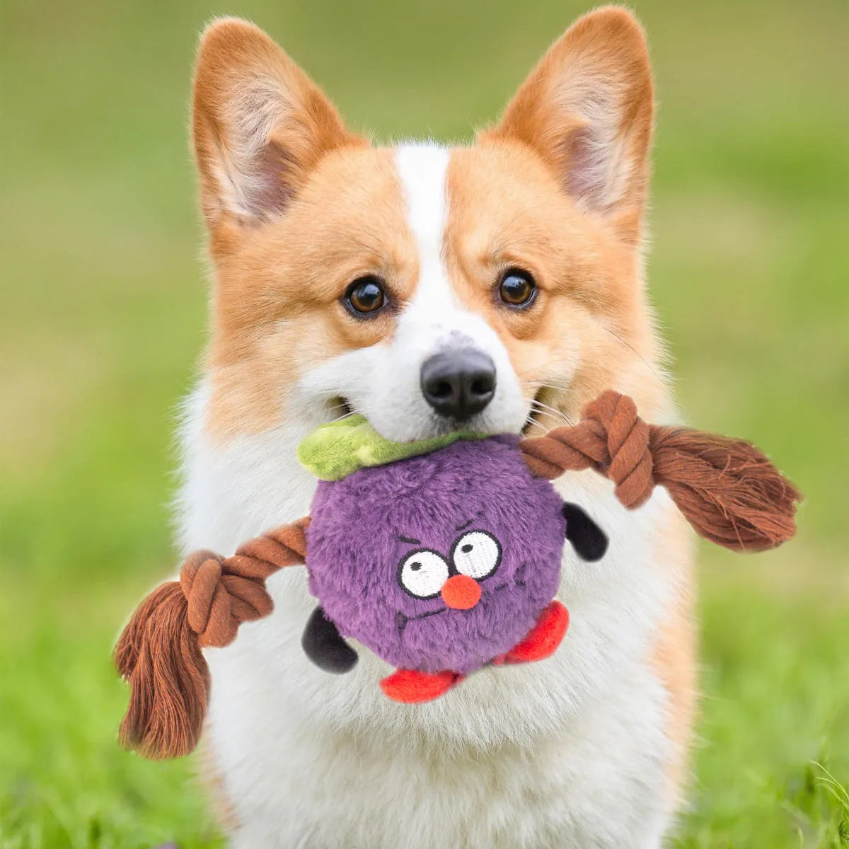 Green and purple interactive dog tug toy with long knotted rope and plush section
