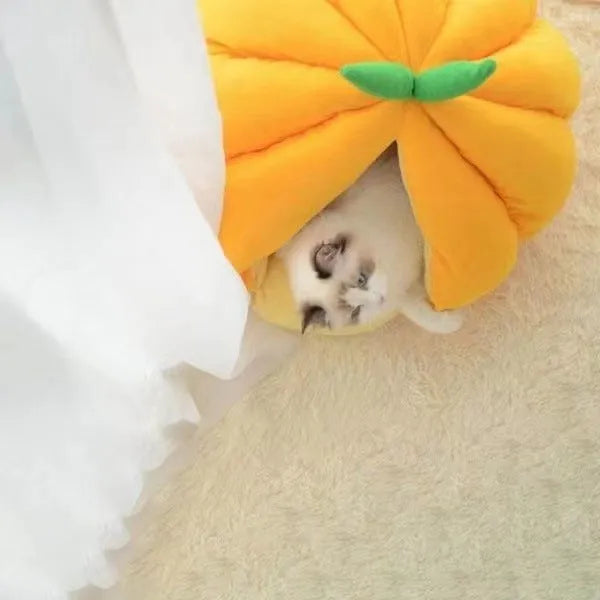 Semi-enclosed pet pumpkin nest in orange PP cotton coralline fabric for cats and small dogs
