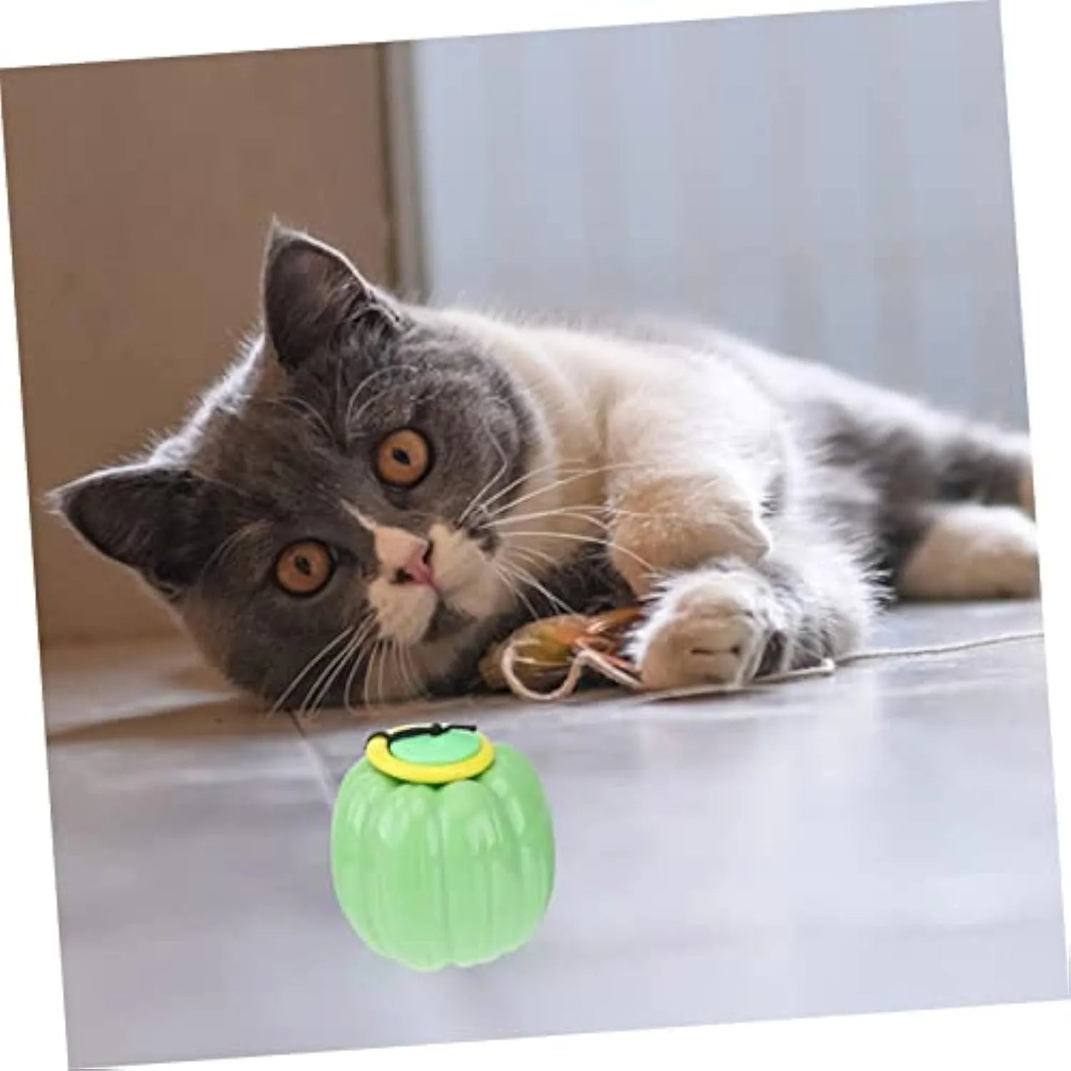 Halloween pumpkin dog chew ball with squeaker in green, orange and yellow colours for small dogs