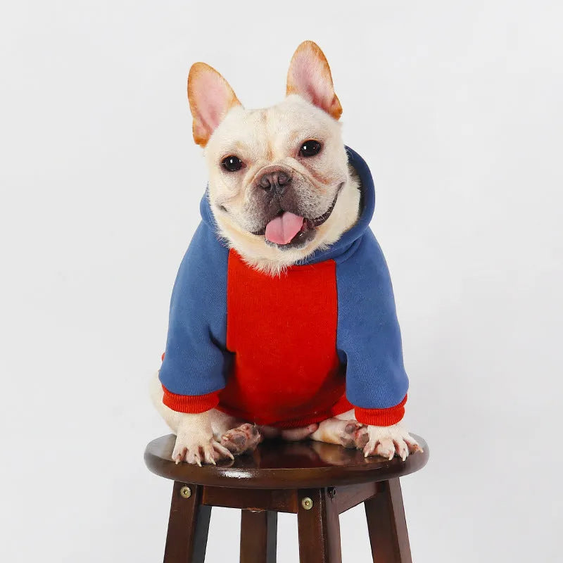 Red cotton dog clothes for small and medium breeds in autumn and winter seasons