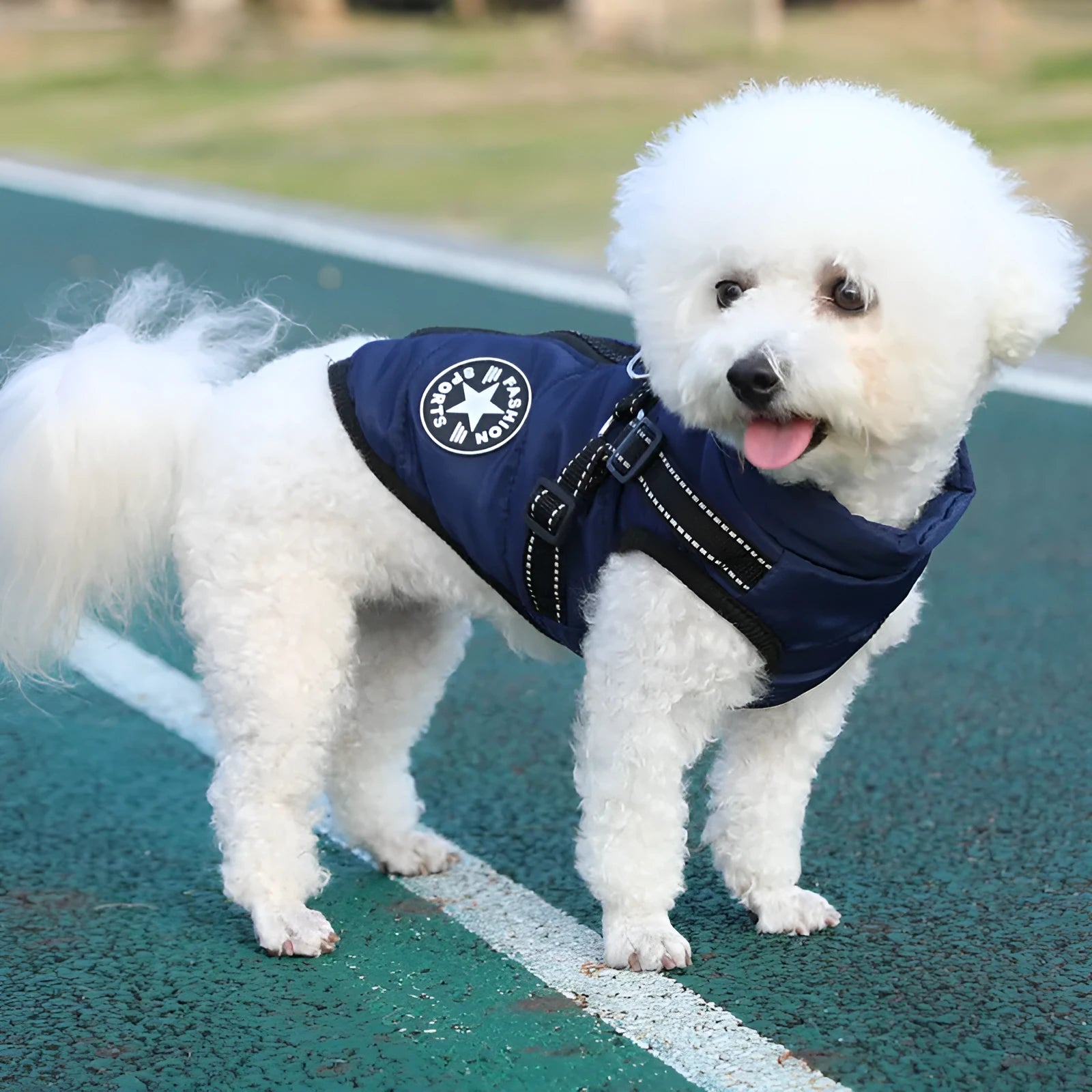 Pet warm dog cotton coat with thickened fleece lining in blue, size L