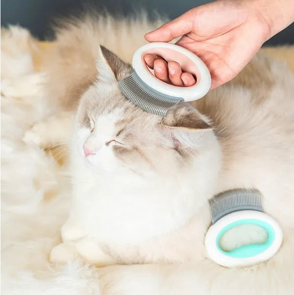 Plastic cat hair comb in blue with double head pocket comb design for removing floating fur