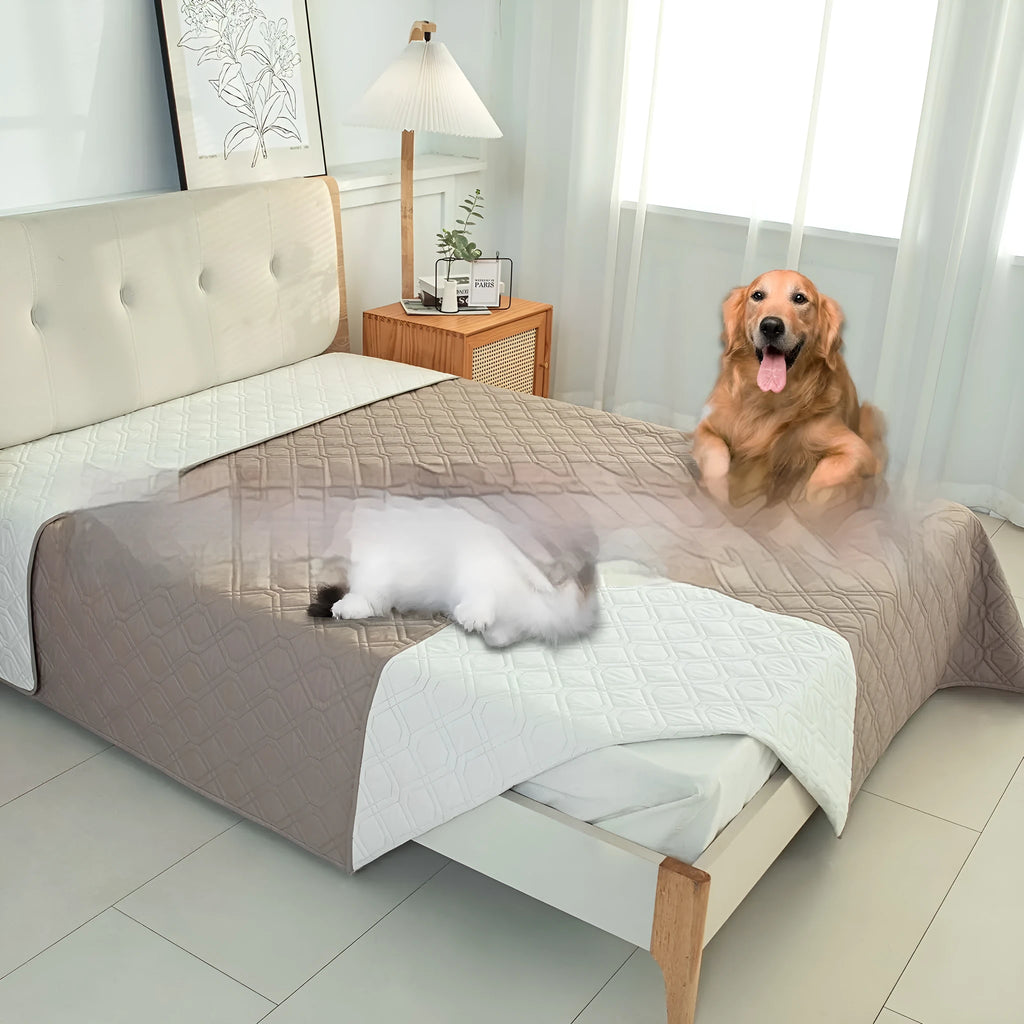 Double-sided waterproof dog sofa cushion showing contrasting colour options and multiple size measurements