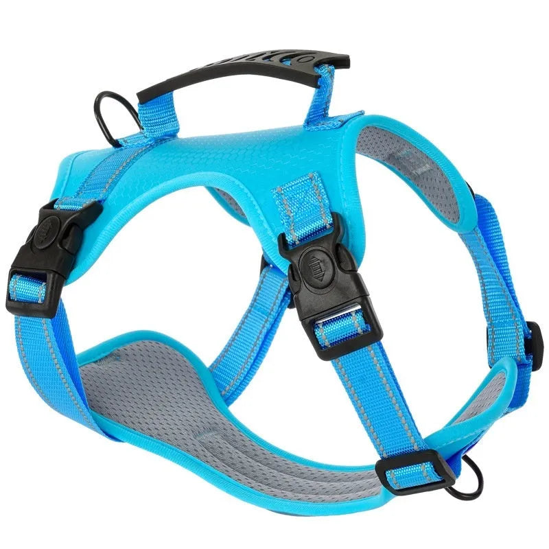 A polyester dog chest harness and lead set shown in a choice of colours including red and blue.