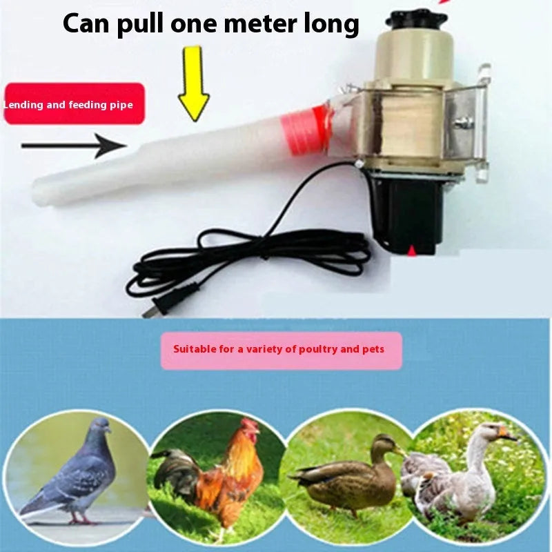 Solar-powered automatic chicken feeding device with timer and watertight outdoor construction