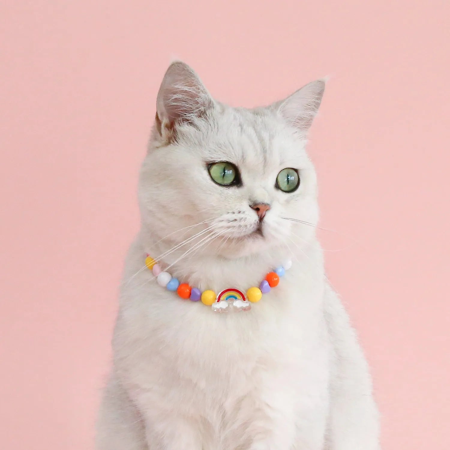 Colourful plastic bead cat necklace with small flower pattern on adjustable cord