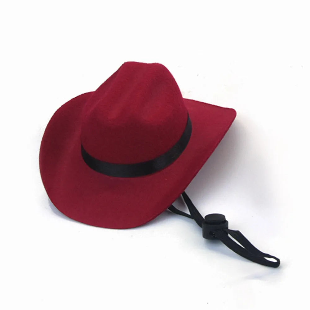 Adjustable dog wearing brown cowboy hat with rounded brim for pet photography