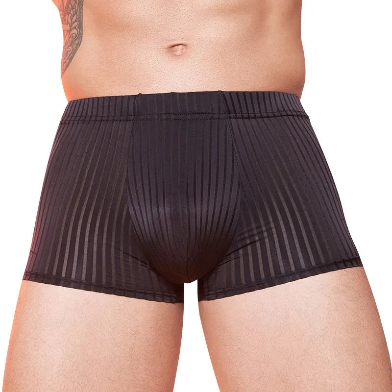 Men's striped thin transparent nylon underwear in Black, White, and Dark Gray free size briefs