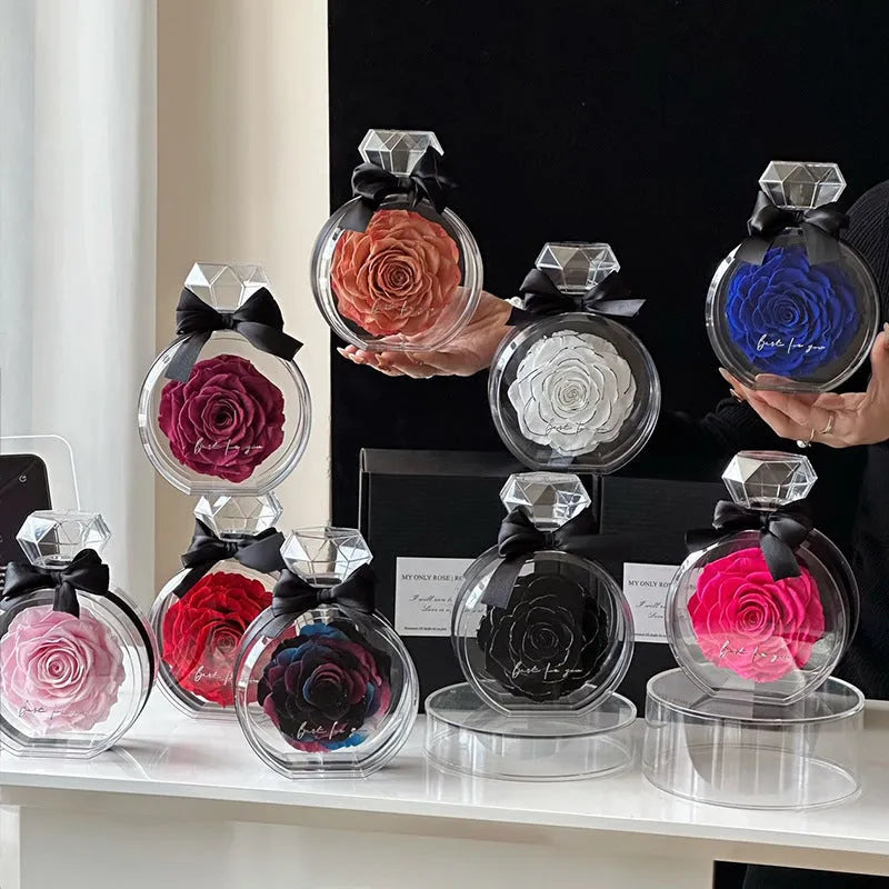 Dried rose in transparent plastic bottle display with cover, multiple colour options, home decor gift box
