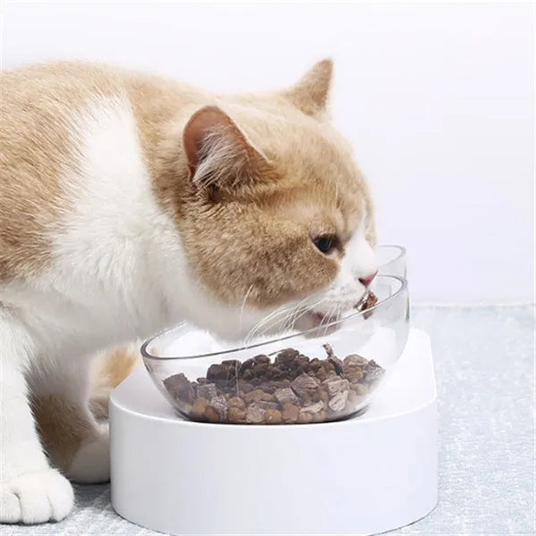 Transparent PC 15 degree adjustable cat bowl with ABS base on floor