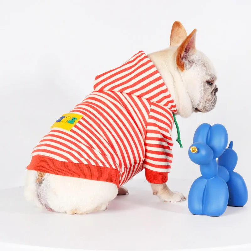 Orange cotton hooded sweater on a dog, showing Korean style design and hood detail.