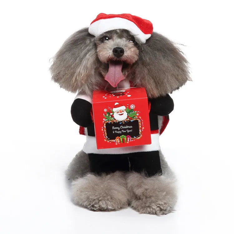 Three-piece dog costume in polyester fabric, standing outfit with hat, clothes and cloak, size S to XL