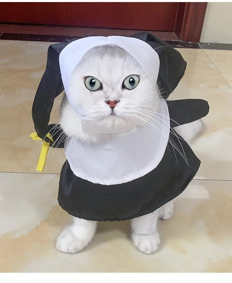 Black nun Halloween costume on small dog with complete outfit including headpiece