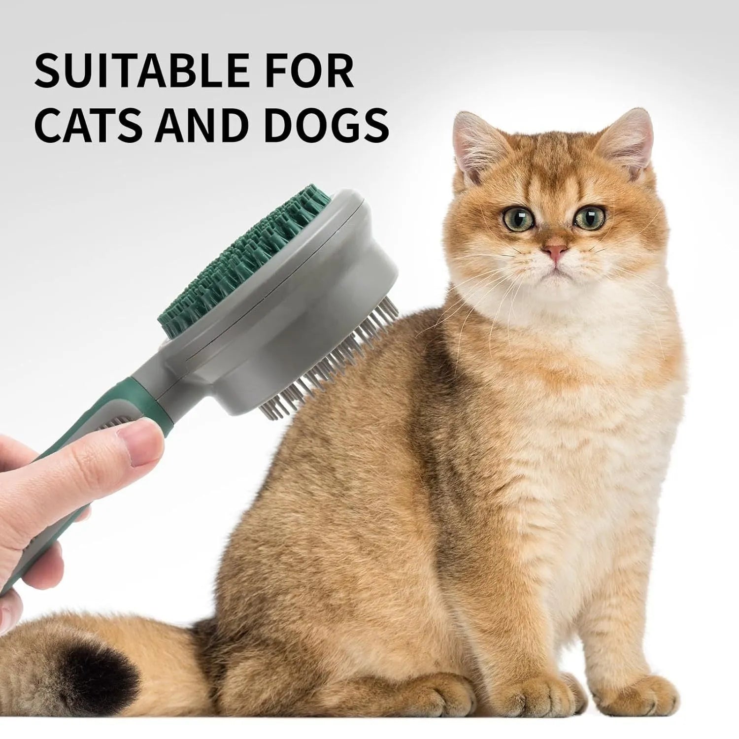 Green two-sided cat brush with retractable slicker and silicone massage pins on plastic handle