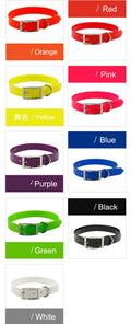 TPU plastic dog collar and towing rope set in red, 40cm length, monochrome leisure style, dirty-resistant surface, flat lay