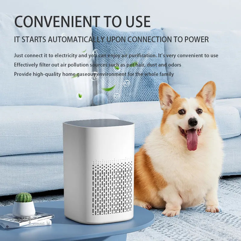 Desktop air purifier in simple white finish, USB powered, for rooms under 10 square metres