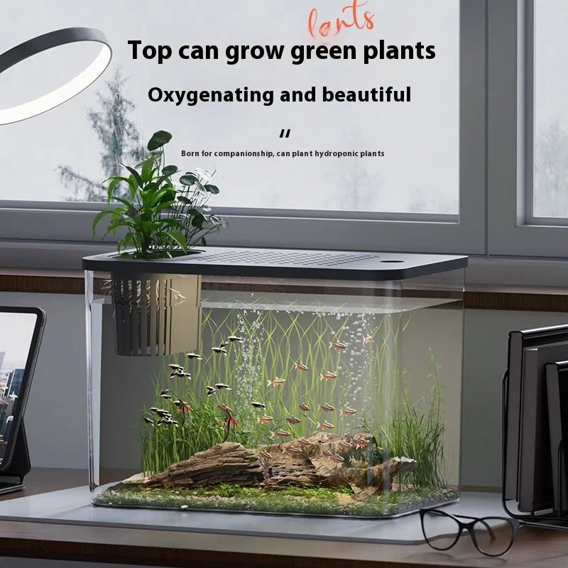Ecological Betta fish tank medium plastic aquarium with lid in black and white colour options