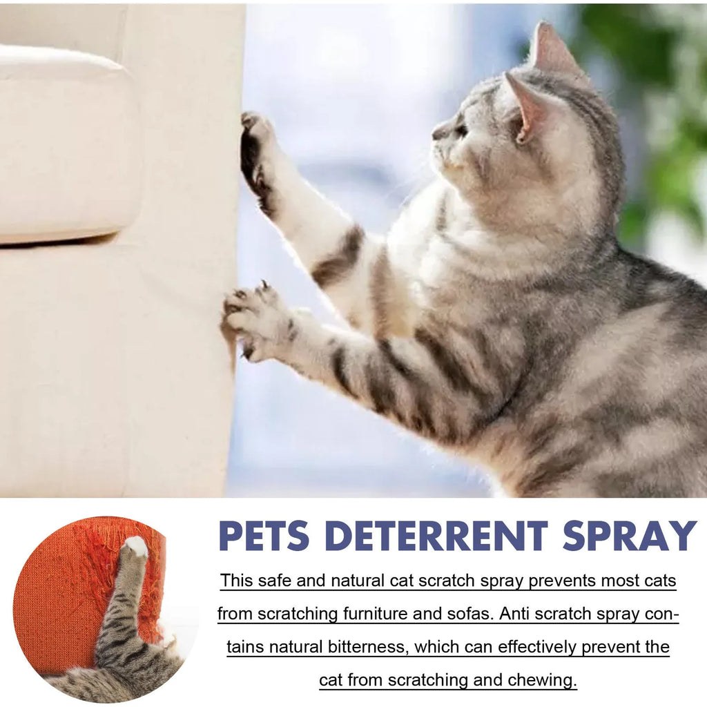 50ml bottle of clear pet deterrent spray in a box to stop cats and dogs scratching furniture.
