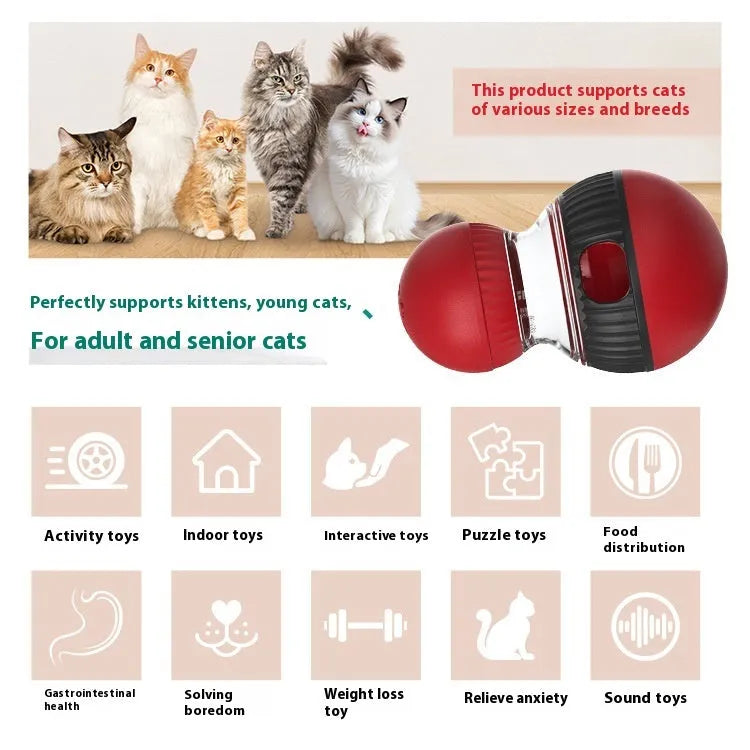 Plastic rotating cat toy with super ball colour design and food dropping mechanism