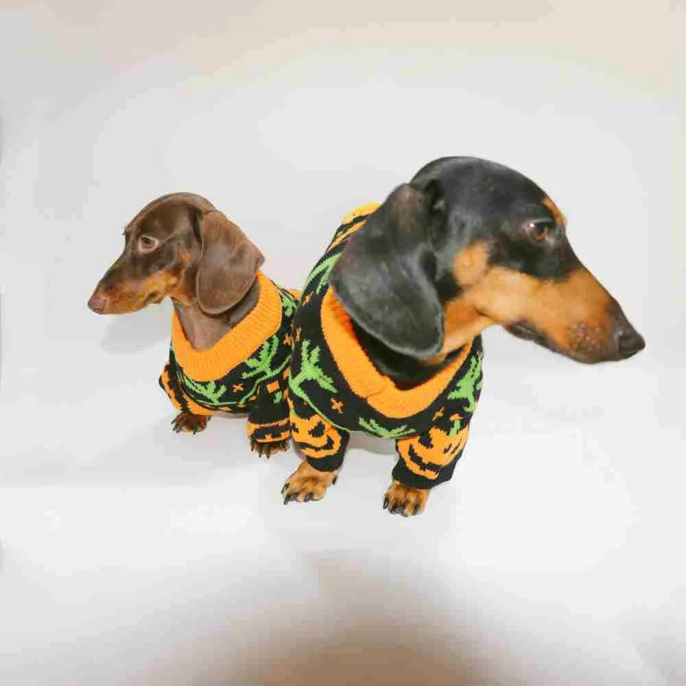 Warm pumpkin coloured polyester pet sweater for dogs and cats, shown on a pet, with size range XS to XL