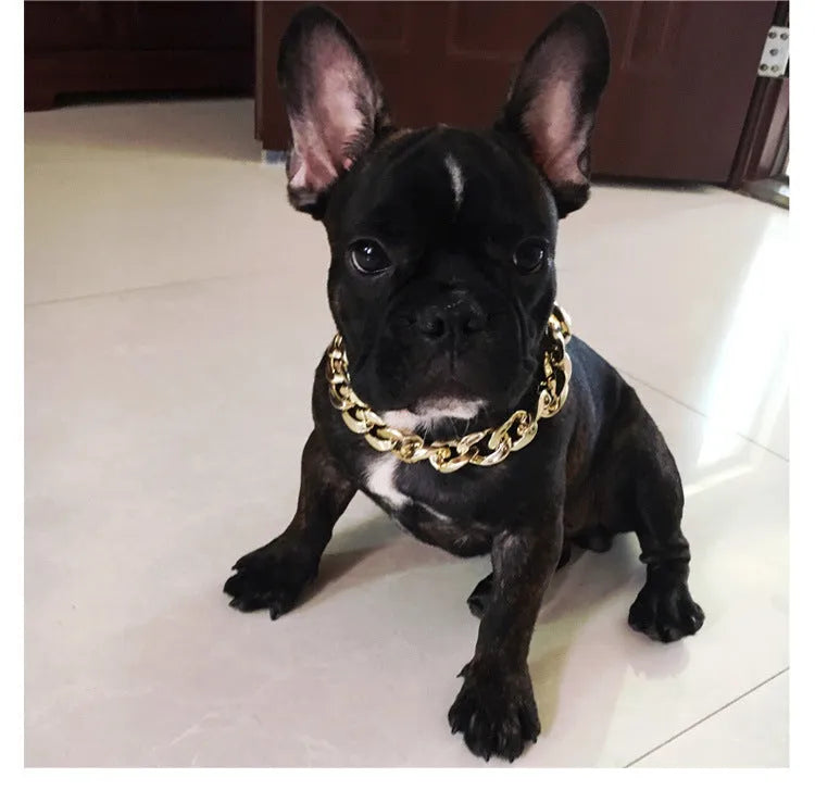 Geometric plastic resin dog collar chain necklace in gold or white on a small dog model