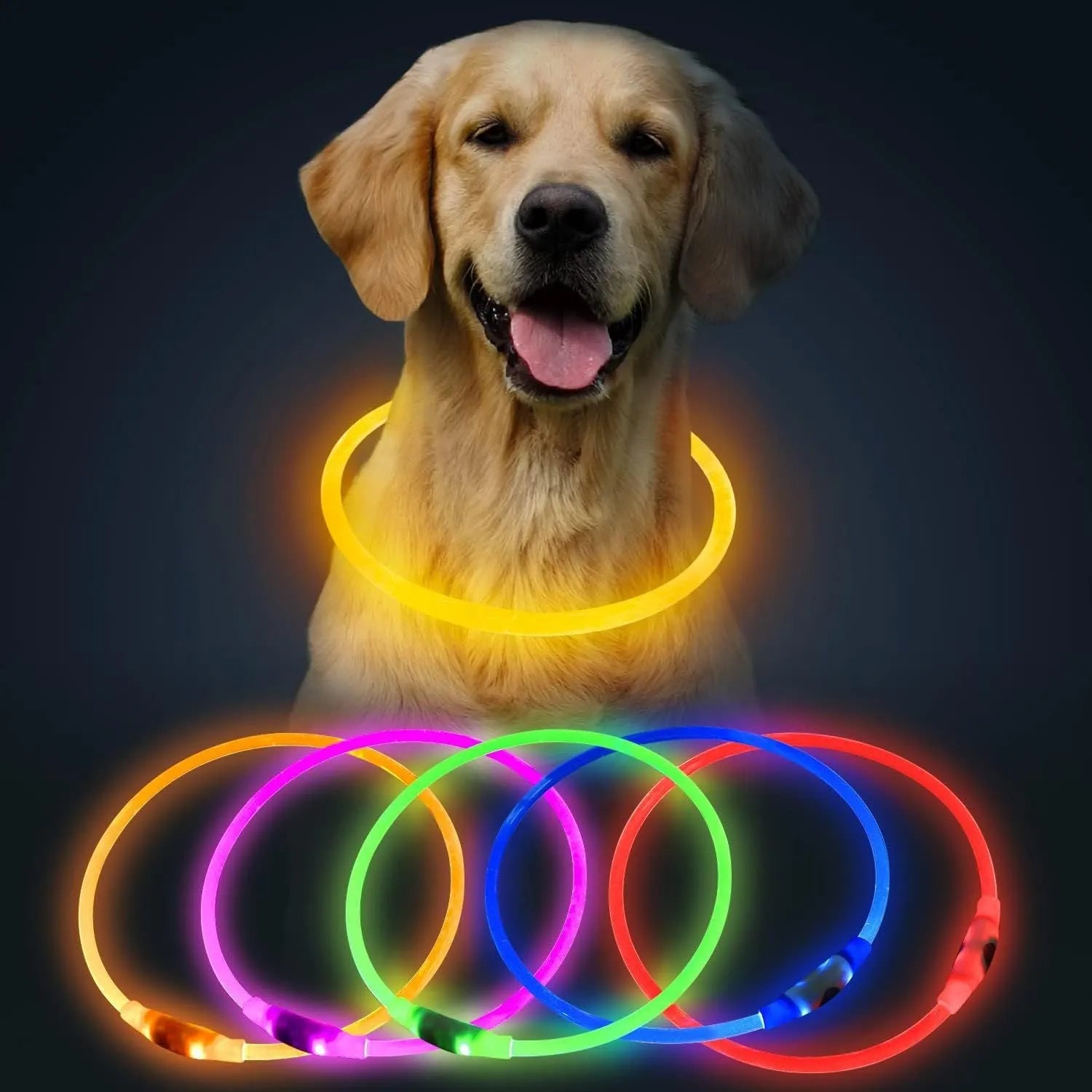 USB rechargeable LED dog collar glowing blue on dog's neck with adjustable TPU strap