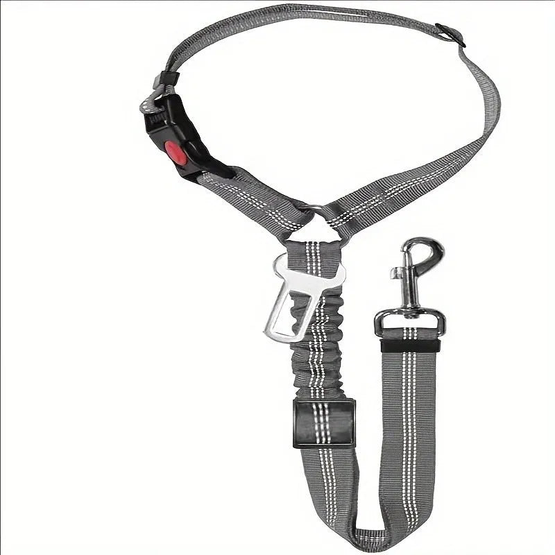 Nylon dog leash with metal buckle in multiple colour options including Army Green, Black, Blue, and Pink