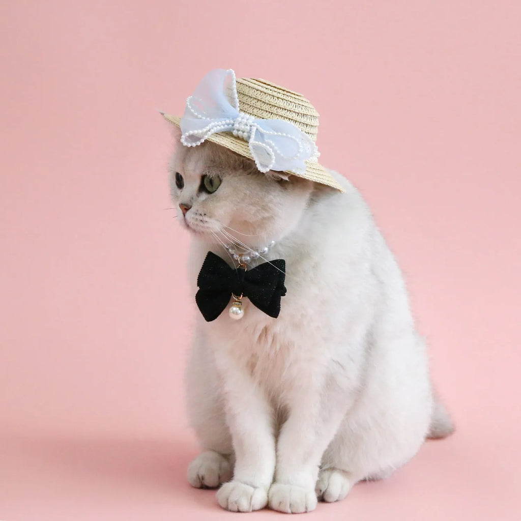 Woven straw cat hat with a pearl bow, shown in blue, pink, purple, and white colour options