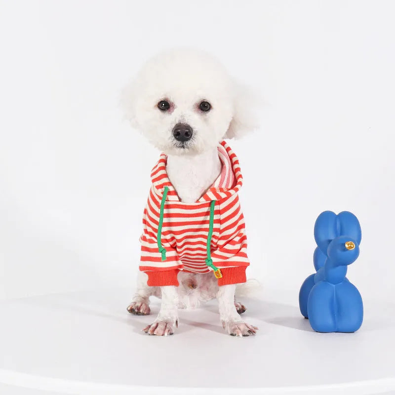 Orange cotton hooded sweater on a dog, showing Korean style design and hood detail.