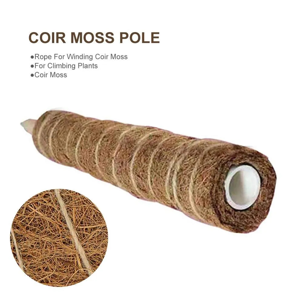 Green radish coconut palm stick with natural coconut moss fibre, wooden pole, and rope wrapping for indoor climbing plant support