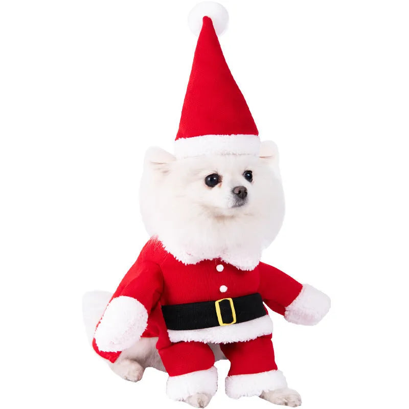 Halloween dog costume selection showing bat, clown, devil, and pumpkin designs for dogs.