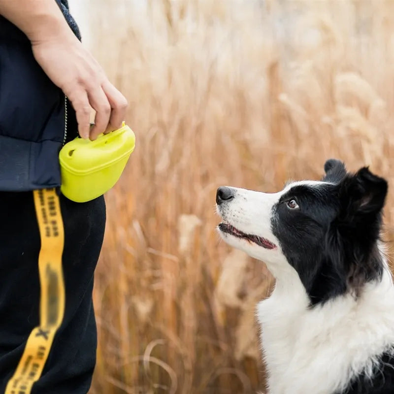 Silicone dog training treat bag with clip attachment in assorted colours