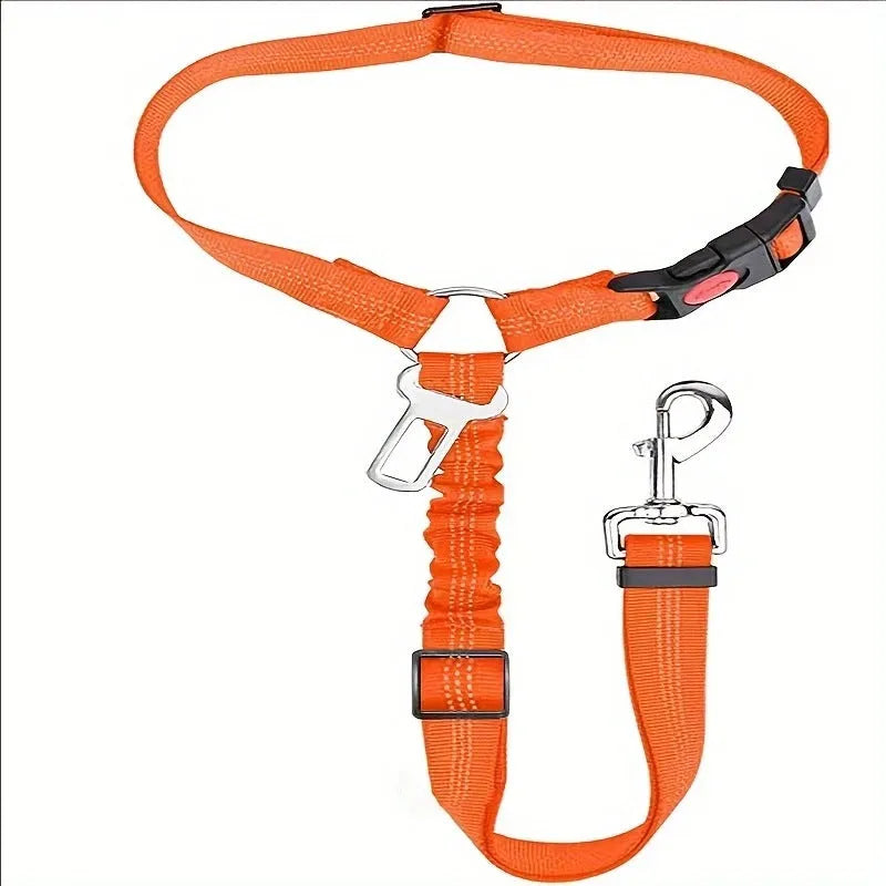 Nylon dog leash with metal buckle in multiple colour options including Army Green, Black, Blue, and Pink