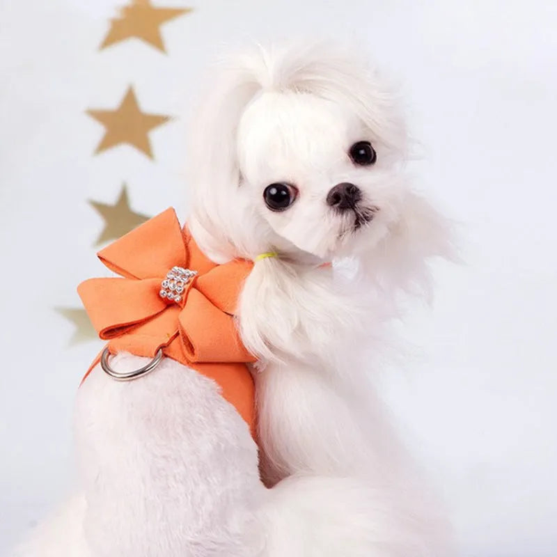 Puppy wearing microfiber chest strap with bowknot design in pink, blue, or orange colour