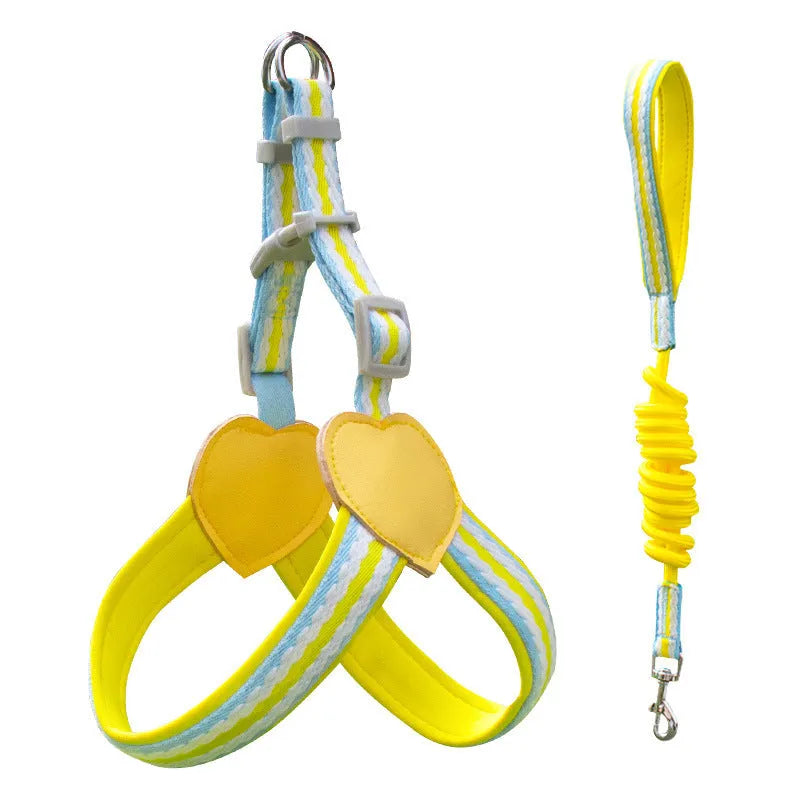 A dog wearing an emerald green nylon vest chest strap harness attached to a matching hand-held rope.