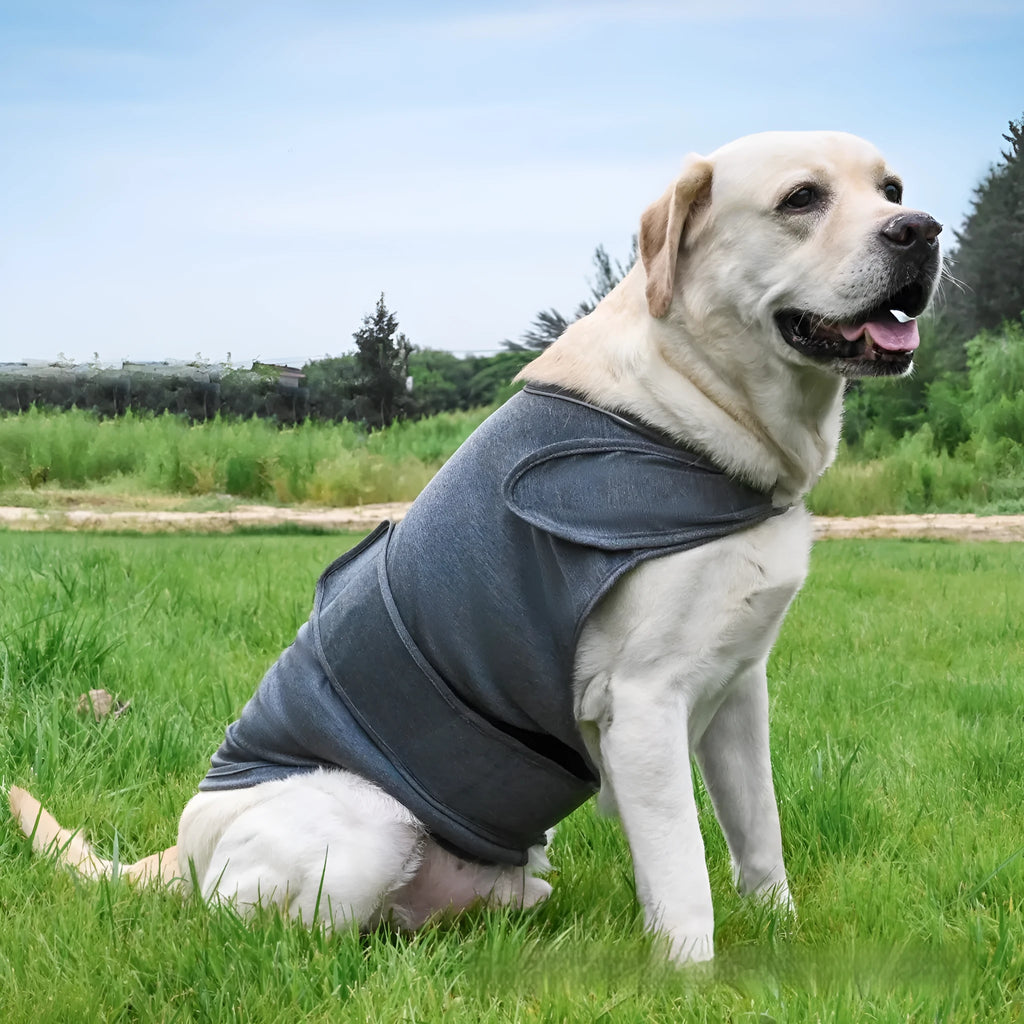 Dog wearing calming tank top vest in brocade cotton Ponte-de-Roma fabric for separation anxiety relief