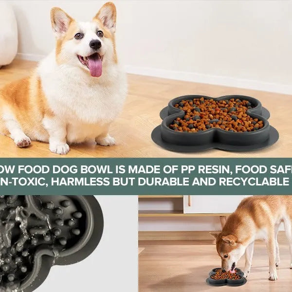 Silicone slow feeder licking pad for pets in various colours on a kitchen counter.