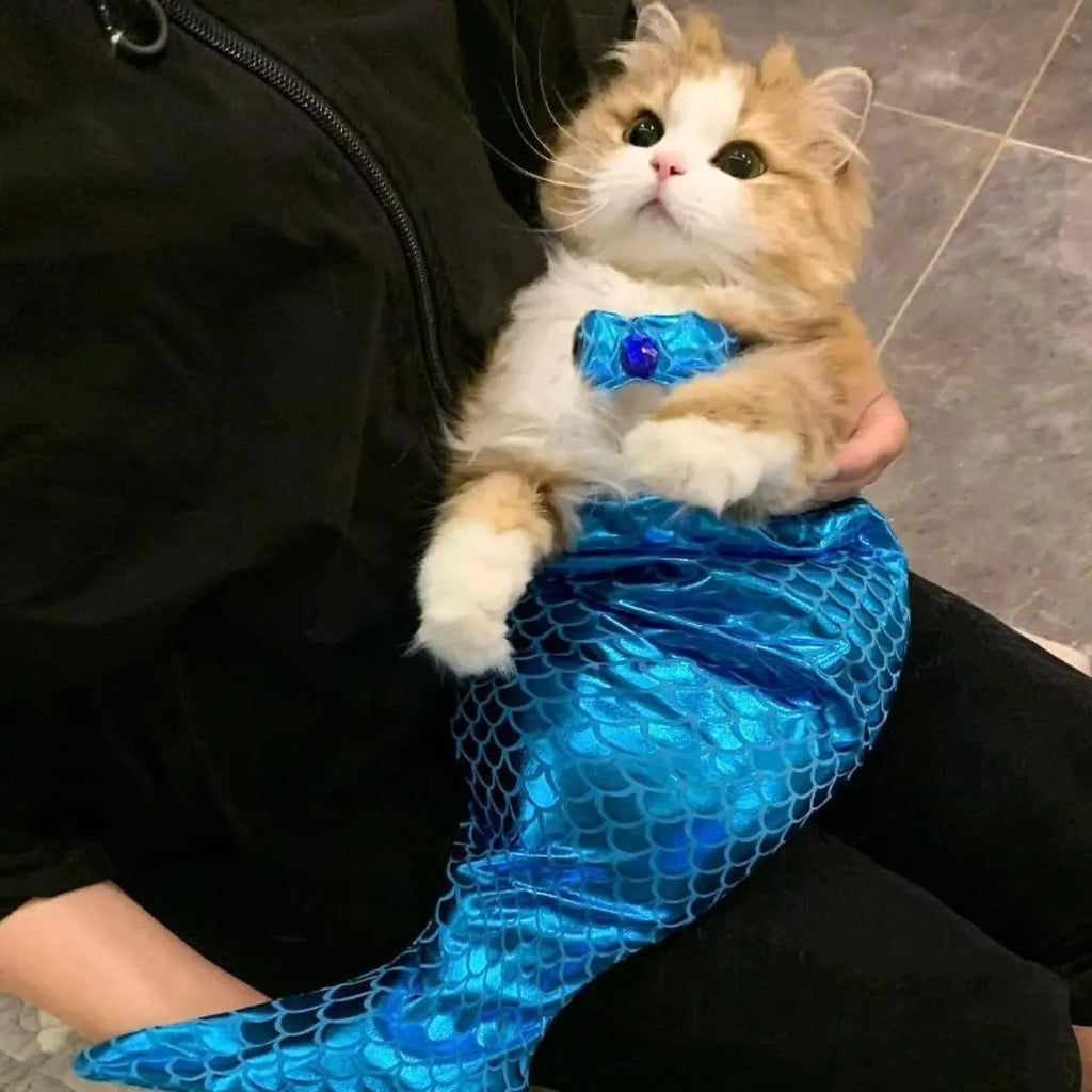Blue pet mermaid costume with scale pattern on a cat, showing elastic chest strap and long fishtail.