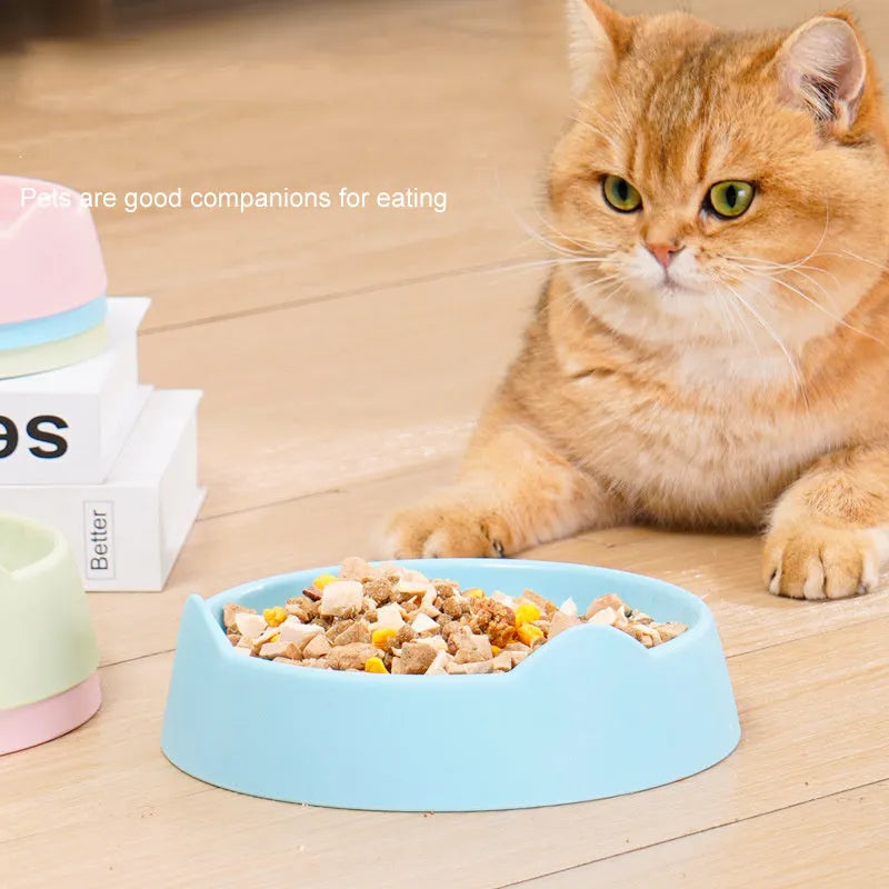 Ceramic dog slow feeder bowl with puzzle maze design in blue, green and pink colours showing S and L size options