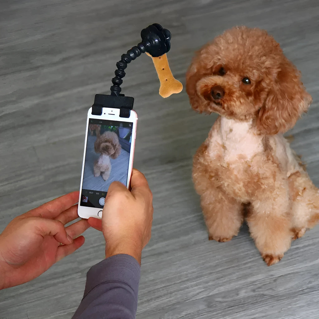 Black pet photography tool with treat clip and phone holder for dog and cat photography